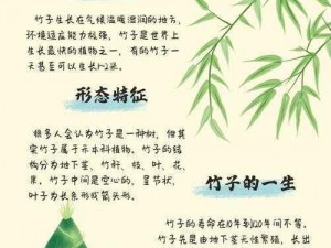 关于清灵草的奥秘：探究其作用与价值