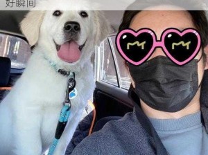 ZOOM 人狗 APP：与爱犬实时互动，记录美好瞬间