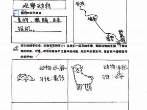 开心动物园盈利模式的创新之路：探索多元化收入来源与提升游客体验的策略实践