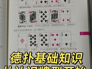 四叶草剧场经验十快速通关攻略详解：实战策略与技巧分享