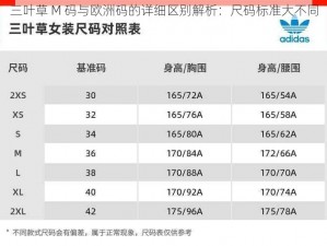 三叶草 M 码与欧洲码的详细区别解析：尺码标准大不同