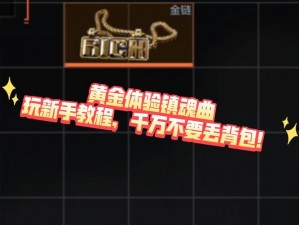 镇魂曲背包容量挑战与仓库智能管理解决方案探索