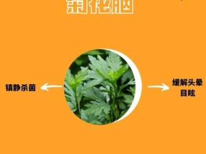 谁动了我的菊花第18关攻略大全：图解闯关步骤，轻松突破难关