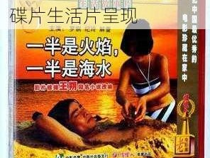 高品质生活，高清 DVD 碟片生活片呈现