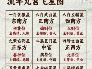 九宫飞星排盘免费版：揭秘风水命理，洞悉未来运势走向