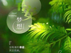 正能量不良网站进入窗口免费——绿色健康的网站，提供正能量内容，无需付费