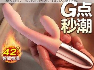 FrxXXⅩ性女 HD 中国，一款高品质的性爱玩具，带来前所未有的快感体验