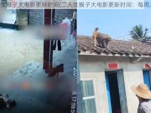 二人生猴子大电影更新时间(二人生猴子大电影更新时间：每周几？)