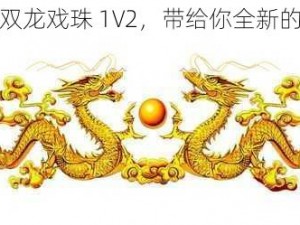 最新款双龙戏珠 1V2，带给你全新的体验感受