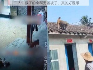 二人生猴子的全程无盖被子，真的好温暖