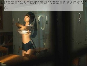 夜里18款禁用B站入口探APP,夜里 18 款禁用 B 站入口探 APP 是真的吗？