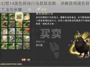 最终幻想14黑色胖陆行鸟获取攻略：详解获得黑色胖陆行鸟的方法与步骤