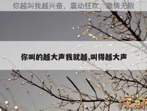 你越叫我越兴奋，震动狂欢，激情无限