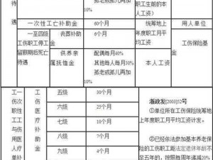 生化危机6中文设置全面指南：操作教程与步骤解析