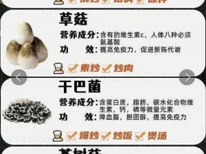 灵魂岛蘑菇大全：食用效果详解与汇总解析