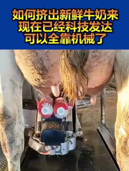 12 岁如何让自己的坤坤挤出牛奶？——介绍一款专为青少年设计的牛奶挤出器