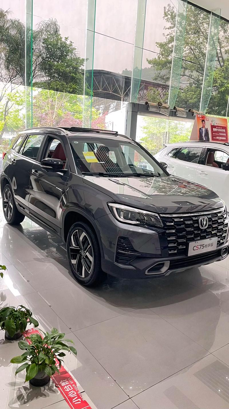 国产 SUV 精品一区,高品质国产 SUV,畅享舒适驾乘体验
