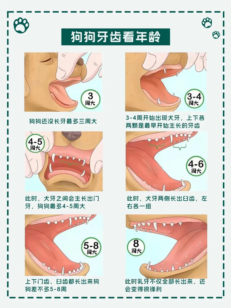 adc 年龄确认大驾光临入口，快速、准确、安全