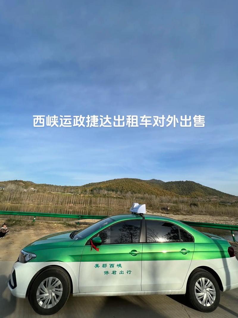 出租车之狼：创新安全出行的智能系统
