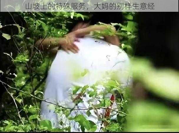 山坡上的特殊服务，大妈的别样生意经