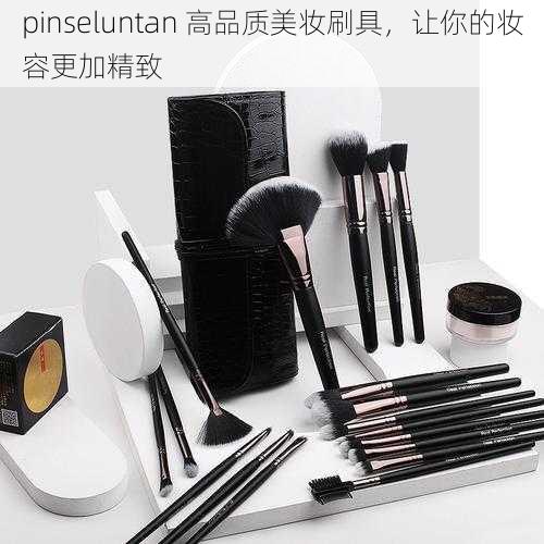 pinseluntan 高品质美妆刷具，让你的妆容更加精致