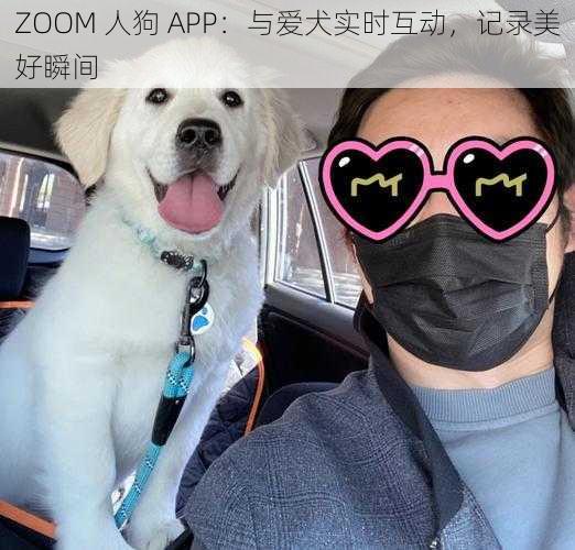 ZOOM 人狗 APP：与爱犬实时互动，记录美好瞬间