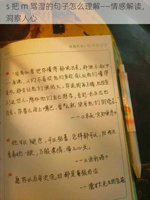 s 把 m 骂湿的句子怎么理解——情感解读，洞察人心