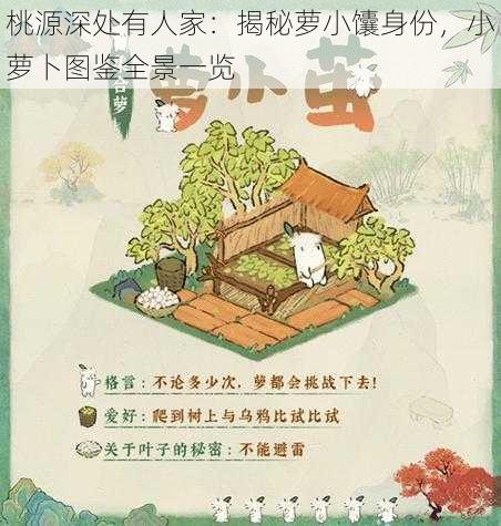 桃源深处有人家：揭秘萝小馕身份，小萝卜图鉴全景一览