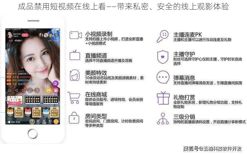 成品禁用短视频在线上看——带来私密、安全的线上观影体验