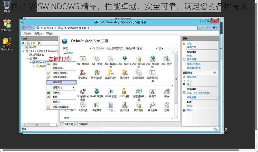 国产 VPSWINDOWS 精品，性能卓越，安全可靠，满足您的各种需求