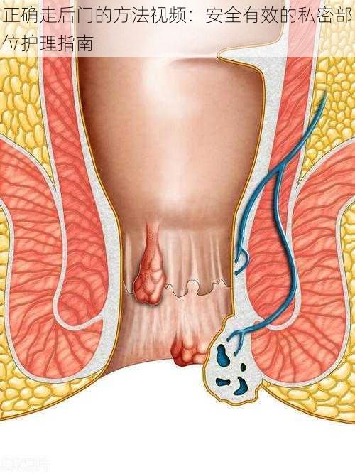 正确走后门的方法视频：安全有效的私密部位护理指南