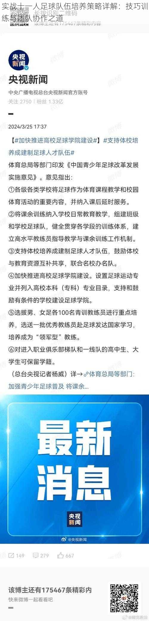 实战十一人足球队伍培养策略详解：技巧训练与团队协作之道