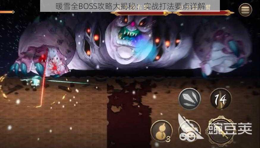 暖雪全BOSS攻略大揭秘：实战打法要点详解