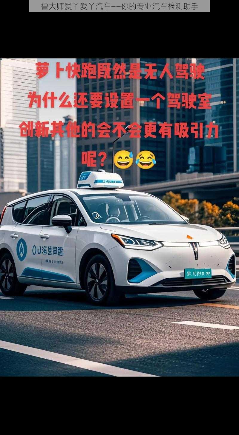 鲁大师爱丫爱丫汽车——你的专业汽车检测助手