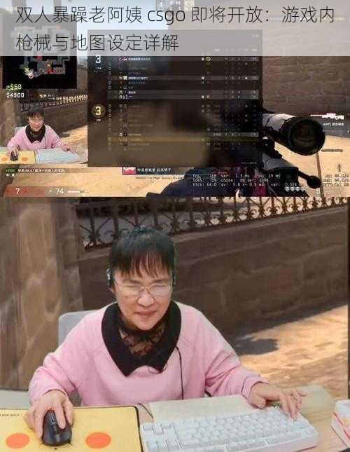 双人暴躁老阿姨 csgo 即将开放：游戏内枪械与地图设定详解