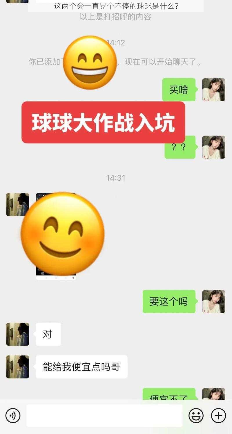 这两个会一直晃个不停的球球是什么？