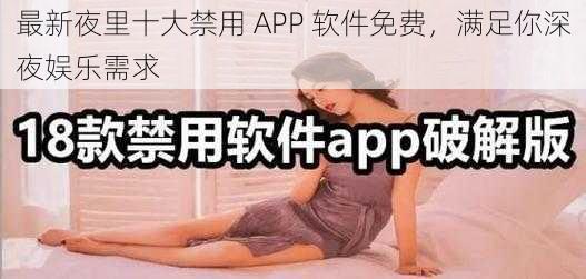 最新夜里十大禁用 APP 软件免费，满足你深夜娱乐需求