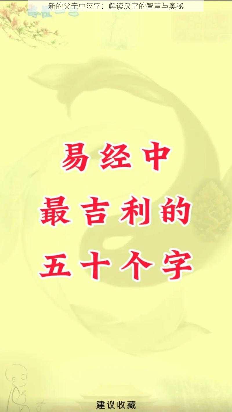 新的父亲中汉字：解读汉字的智慧与奥秘