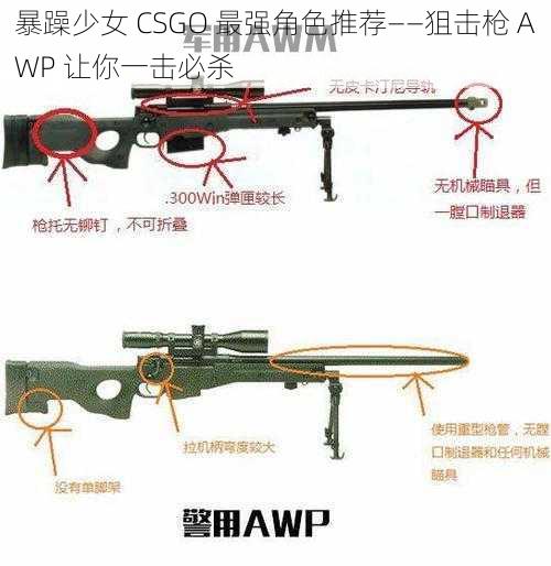 暴躁少女 CSGO 最强角色推荐——狙击枪 AWP 让你一击必杀