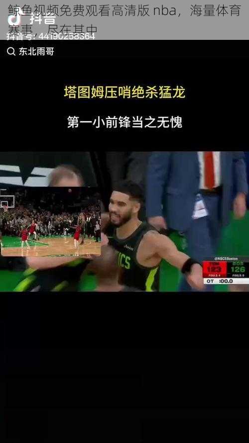 鲸鱼视频免费观看高清版 nba，海量体育赛事，尽在其中