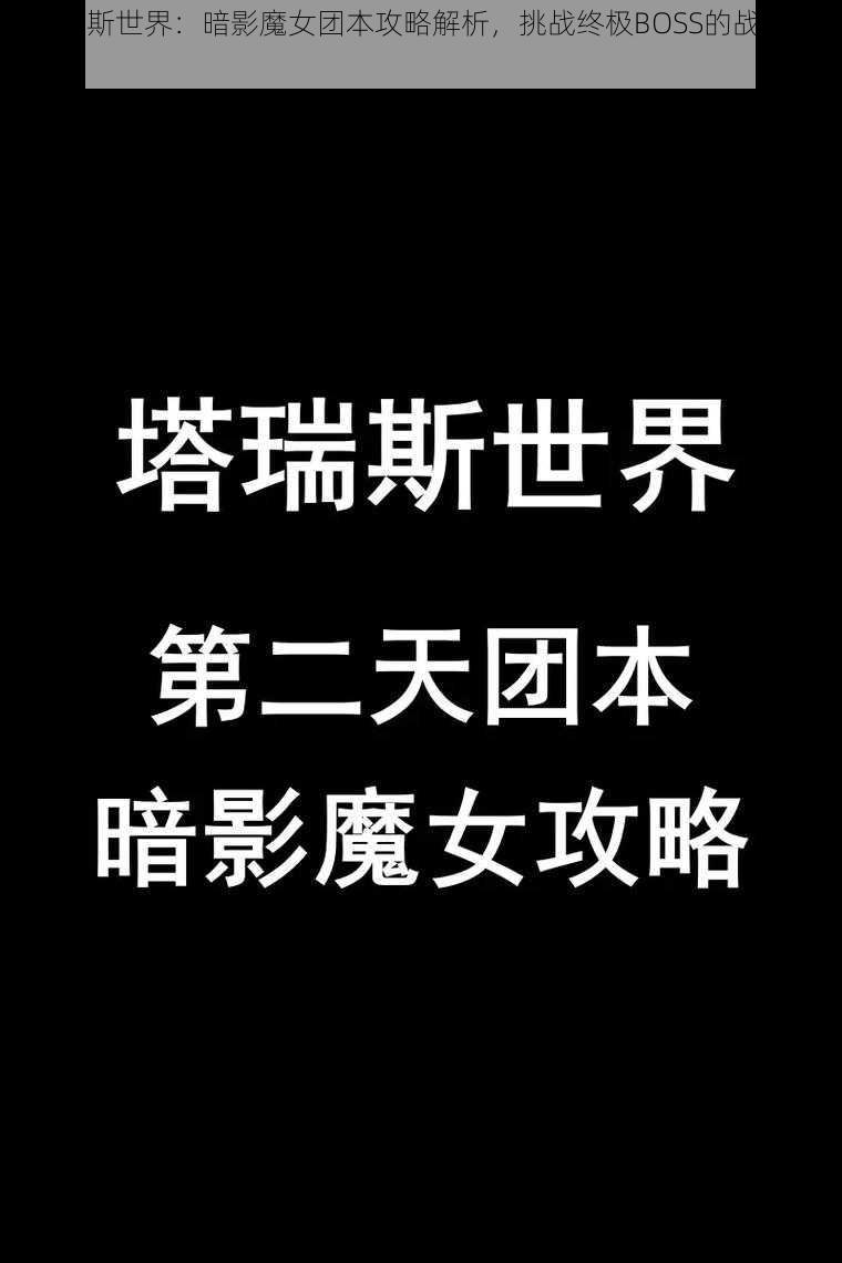 《塔瑞斯世界：暗影魔女团本攻略解析，挑战终极BOSS的战斗策略》