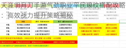 天涯明月刀手游气劲职业平民琅纹搭配攻略：高效战力提升策略揭秘