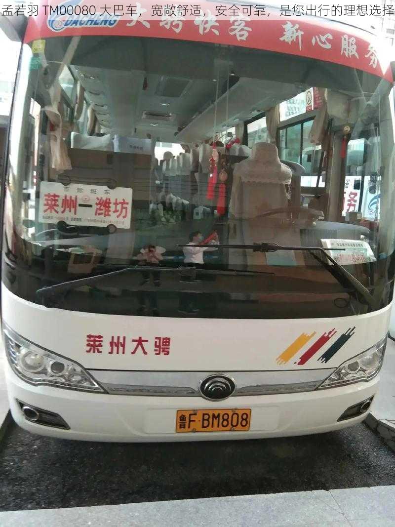 孟若羽 TM00080 大巴车，宽敞舒适，安全可靠，是您出行的理想选择