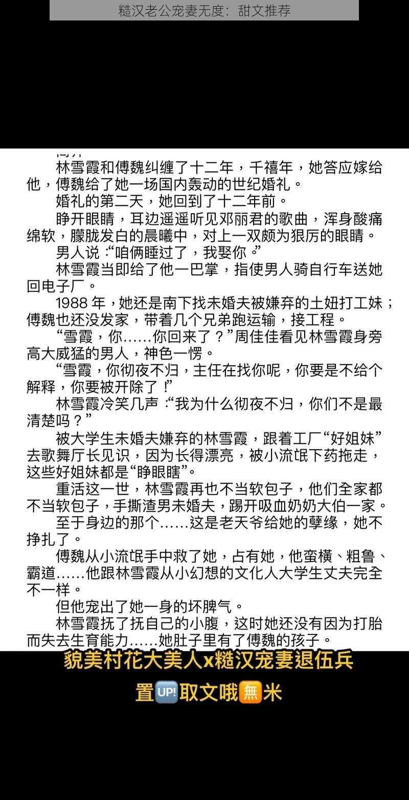 糙汉老公宠妻无度：甜文推荐