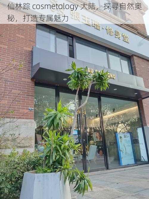 仙林踪 cosmetology 大陆，探寻自然奥秘，打造专属魅力