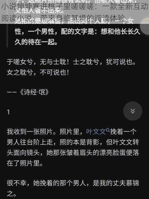 小说坤坤寒进桃子里嗟嗟嗟：一款全新互动阅读小说，带来身临其境的阅读体验