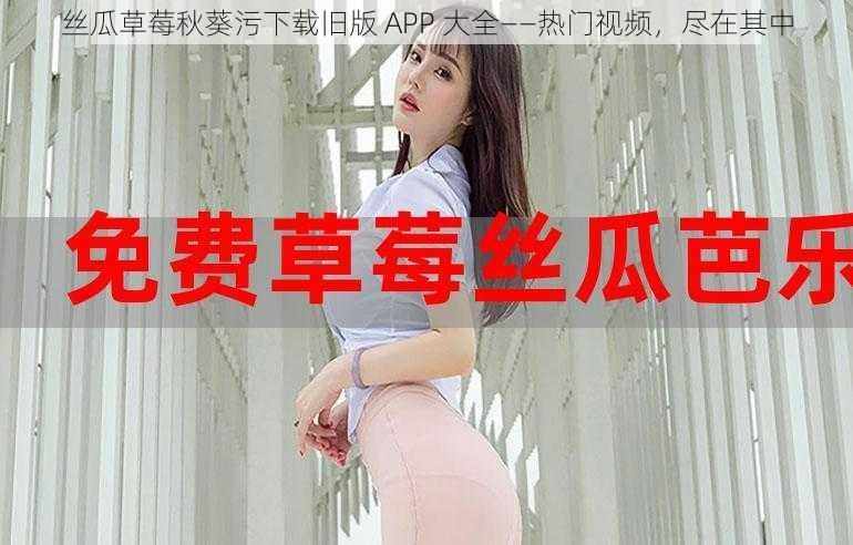 丝瓜草莓秋葵污下载旧版 APP 大全——热门视频，尽在其中