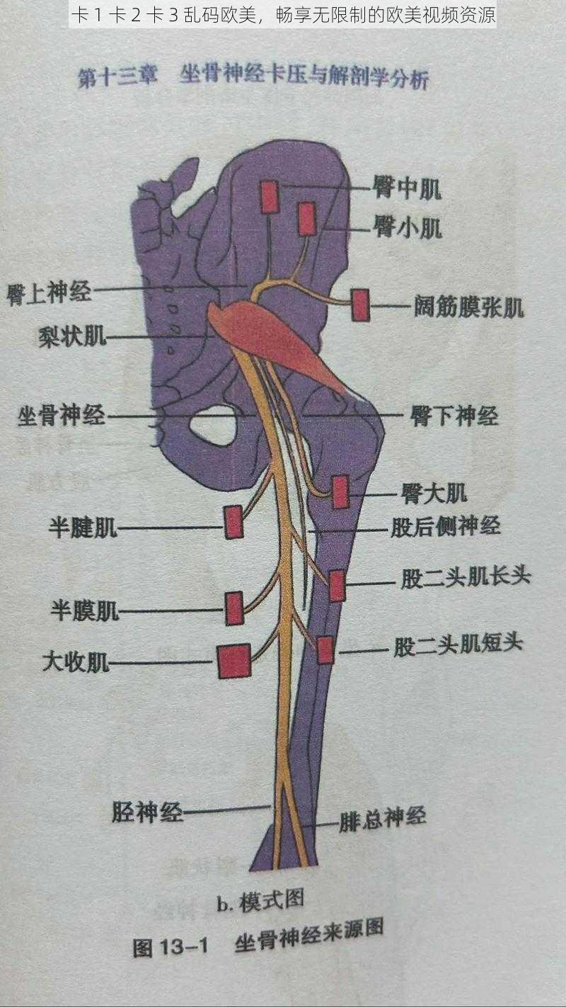 卡 1 卡 2 卡 3 乱码欧美，畅享无限制的欧美视频资源