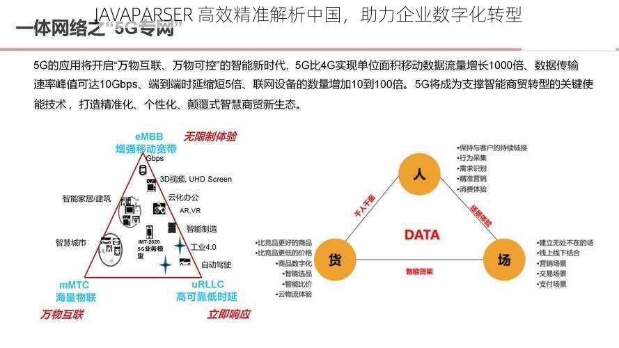 JAVAPARSER 高效精准解析中国，助力企业数字化转型