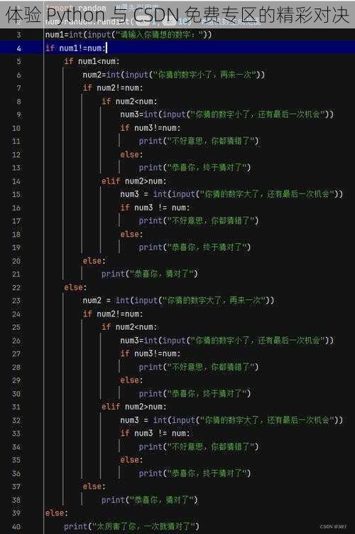 体验 Python 与 CSDN 免费专区的精彩对决